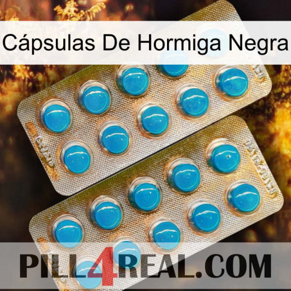 Cápsulas De Hormiga Negra new08.jpg